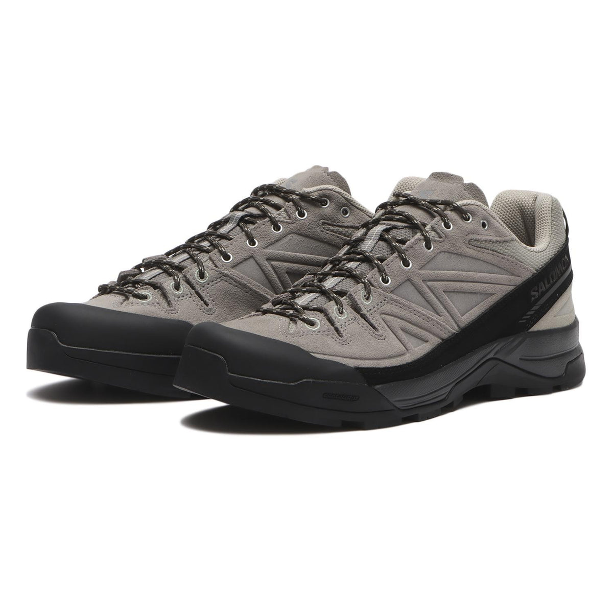 L49196300 Salomon X-ALP LEATHER (Men's)