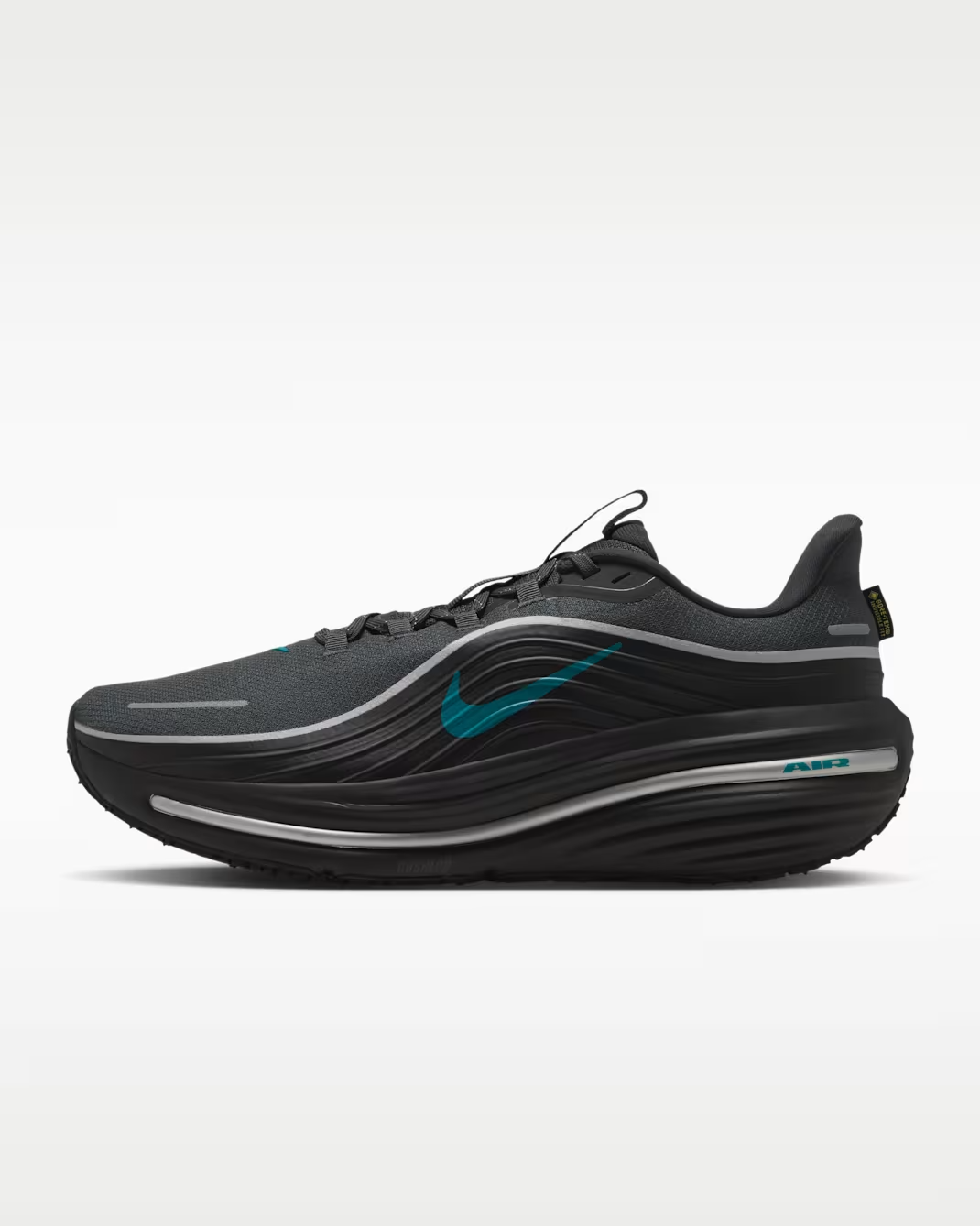 IO7953-002 Nike Winflo 12 GORE-TEX "Anthracite/Black" (Men's)