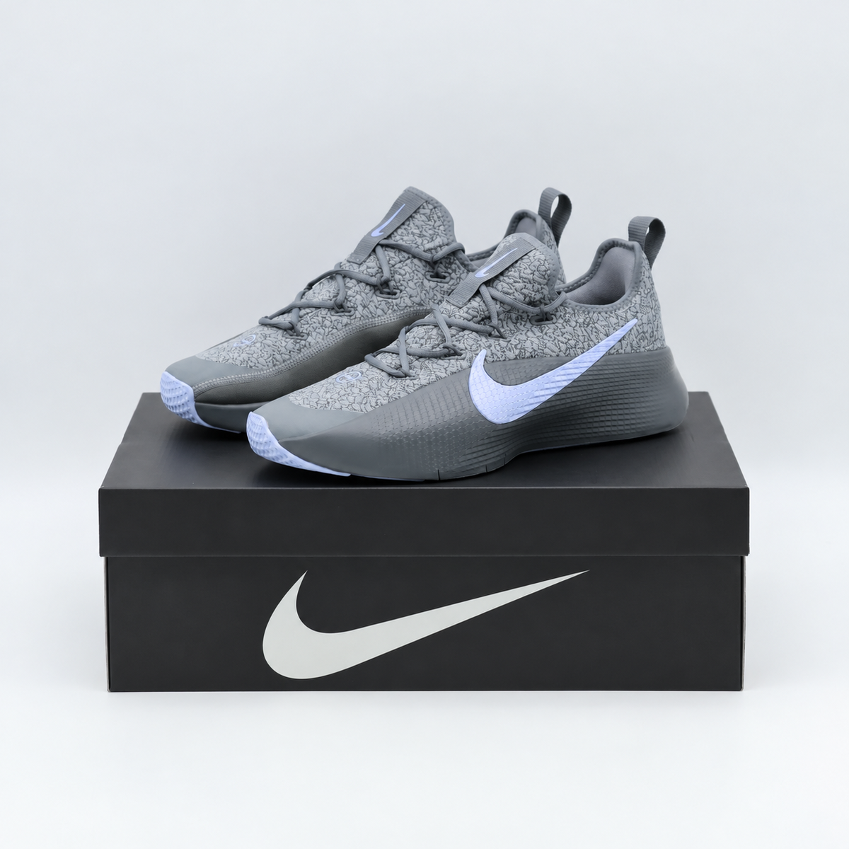 FJ6151-008 Nike LeBron TR1 Cool Grey Aluminum (Men's)