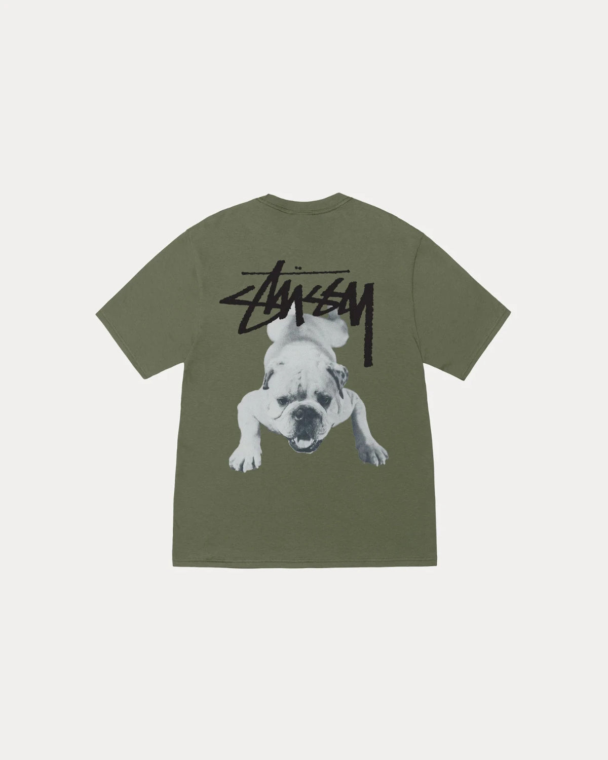 Stussy Stock Dog Tee Olive