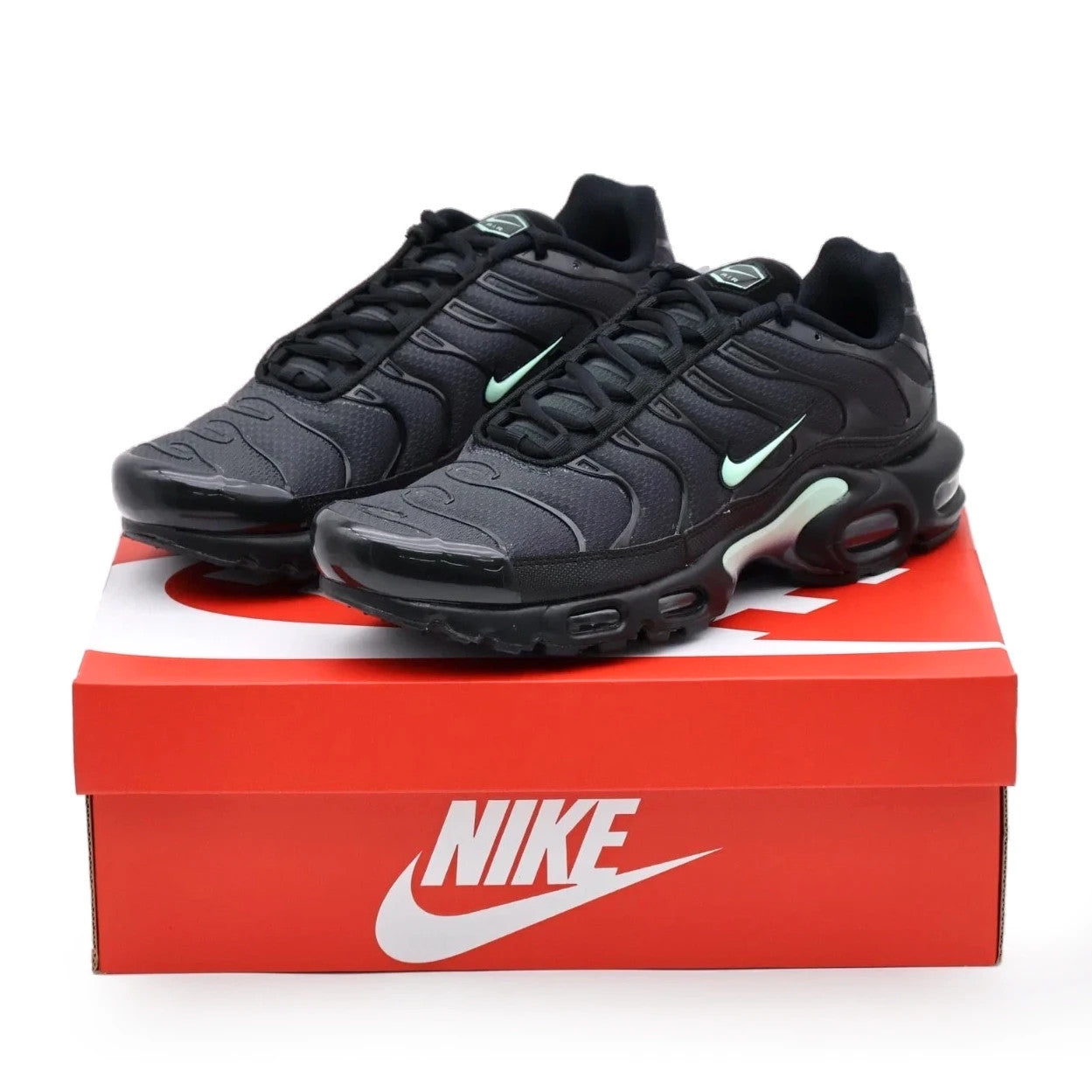 DM0032-029 Nike Air Max Plus Black Mint (Men's)