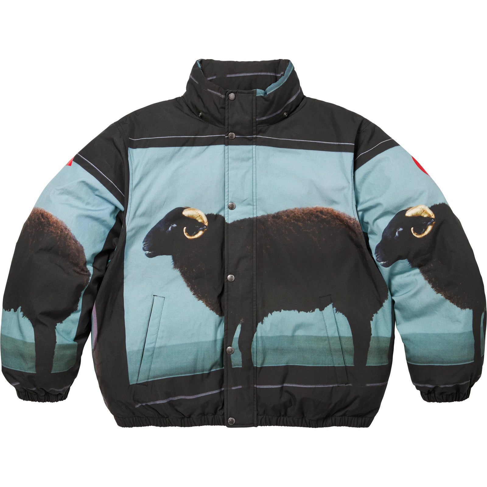 Supreme Damien Hirst Down Puffer Jacket Black