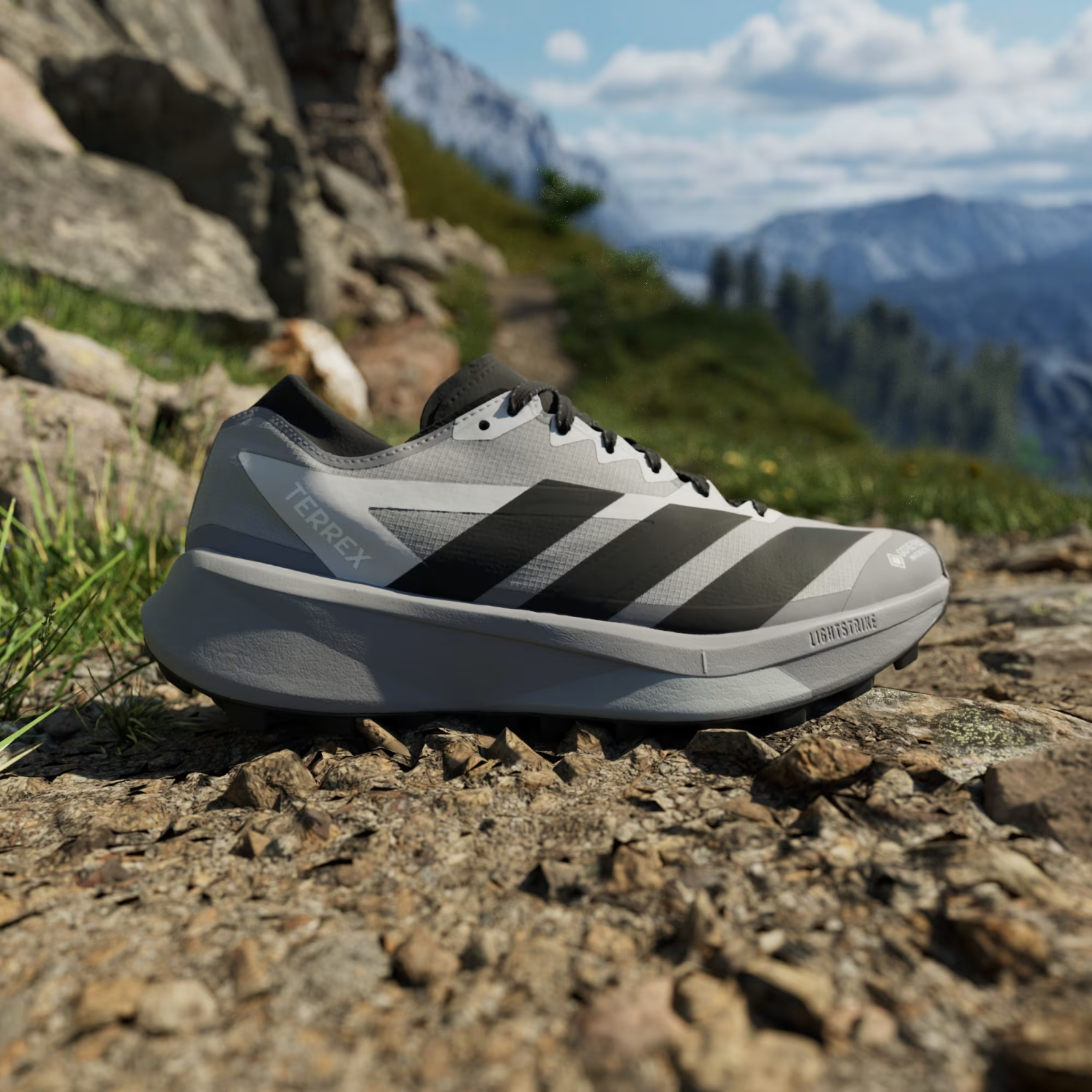 HQ5090 adidas Terrex Agravic GORE-TEX 2 Trail Running (Men's)