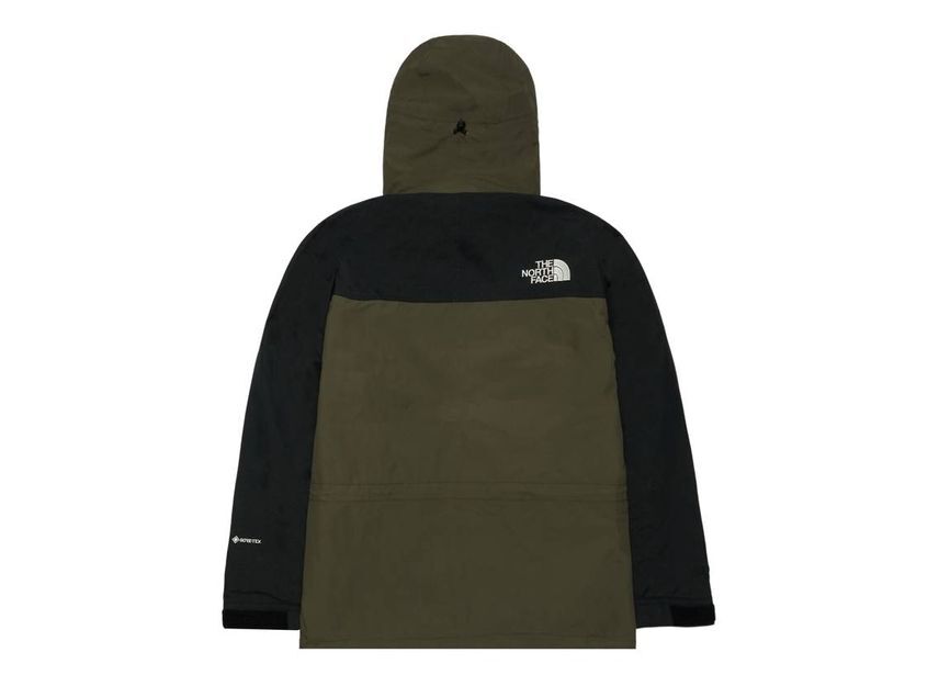 The North Face Mountain Light Jacket Neutopes(NT)