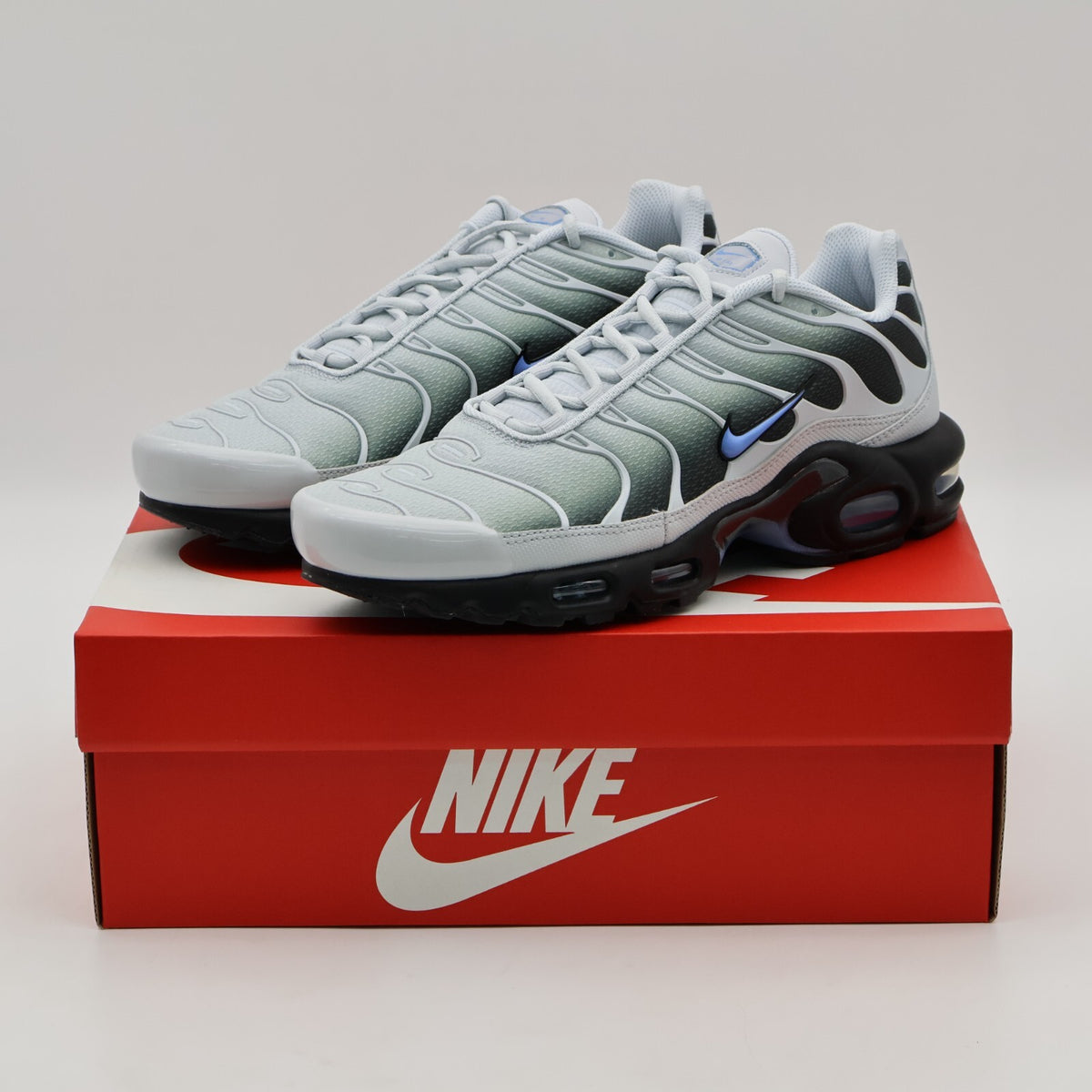 DM0032-015 Nike Air Max Plus University Blue (Men's)