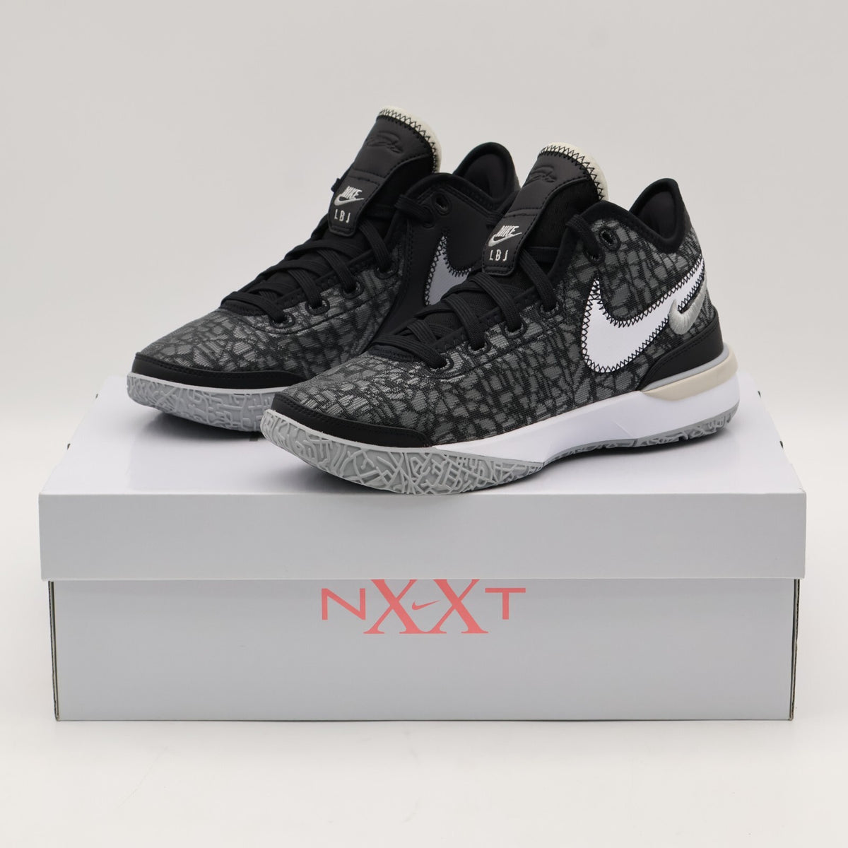 DR8788-005 Nike LeBron NXXT Gen Black Wolf Grey White Light Bone (Men's)