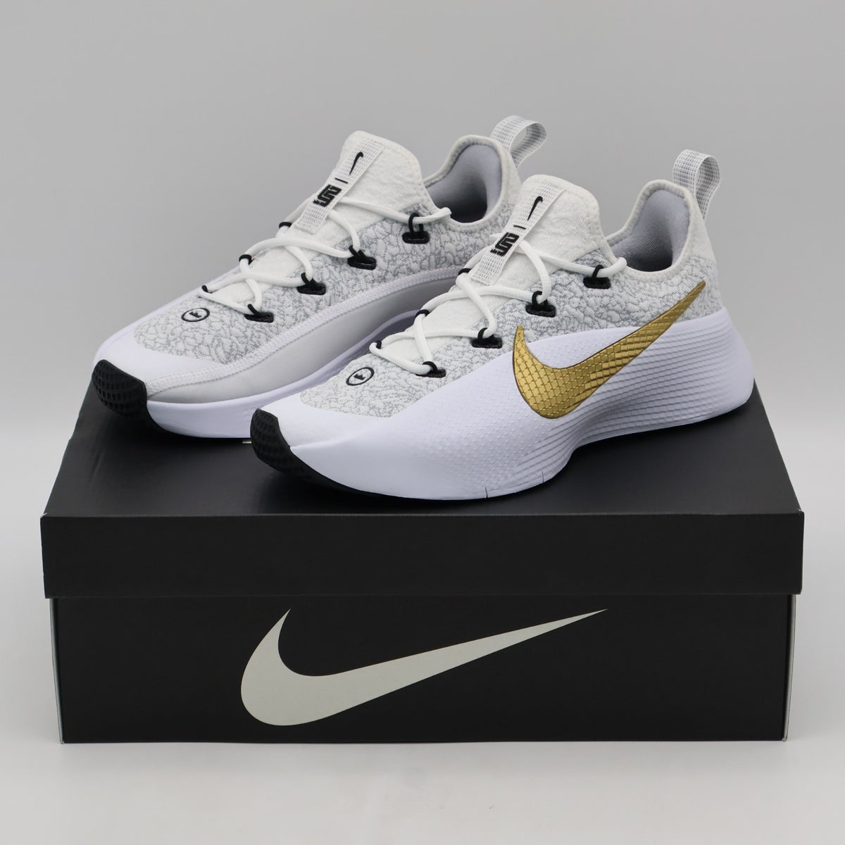 FJ6151-006 LeBron TR 1 Workout Shoes Wolf Grey White Bronze Metallic (Men's)