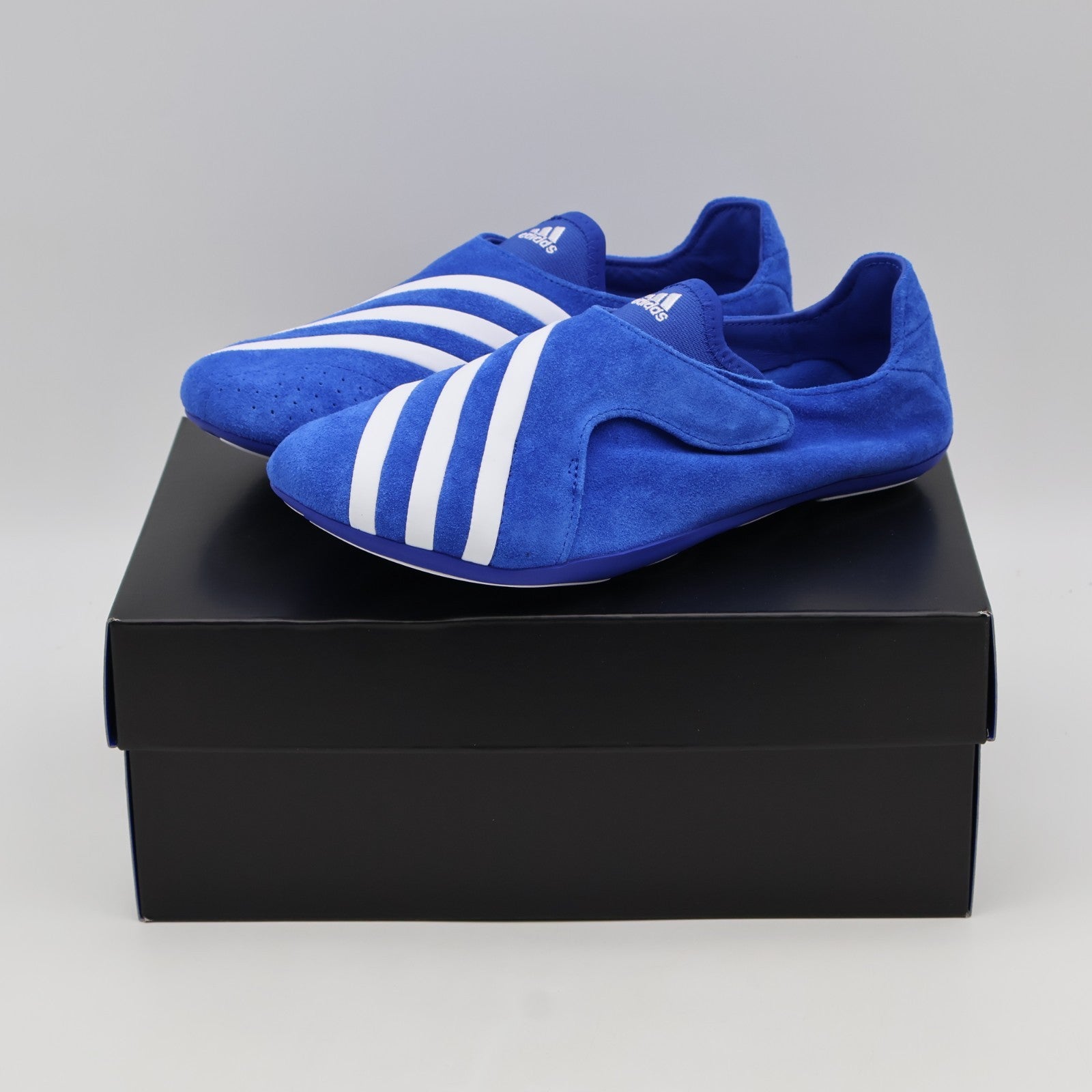 KJ9380 Pharrell Williams à adidas Vario Flat Earther "Blue" (Men's)