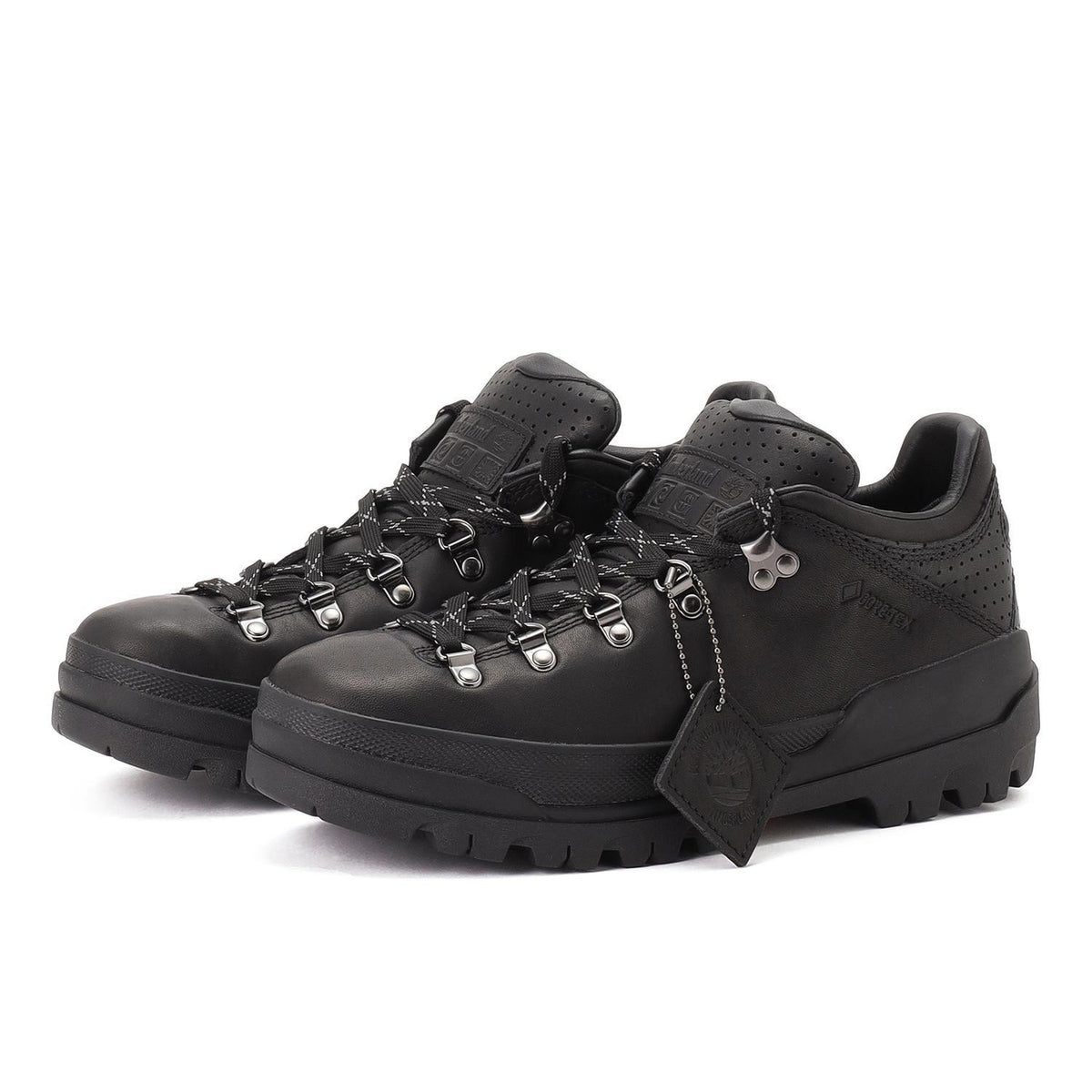 A418GW02 Timberland World Hiker GORE-TEX Hiking Boot Black (Men's)