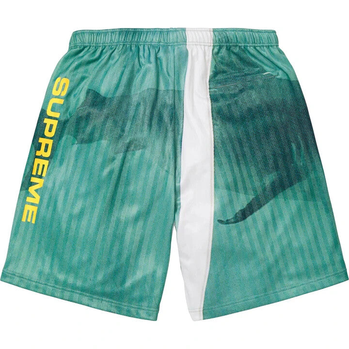Supreme Damien Hirst Soccer Short White