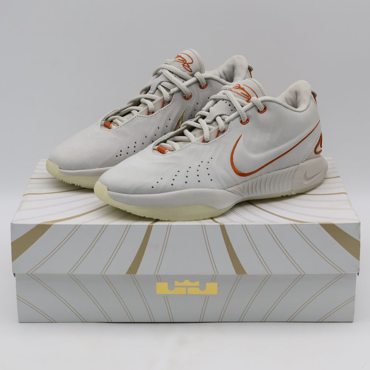 FV2345-001 Nike LeBron 21 Akoya (Men's)