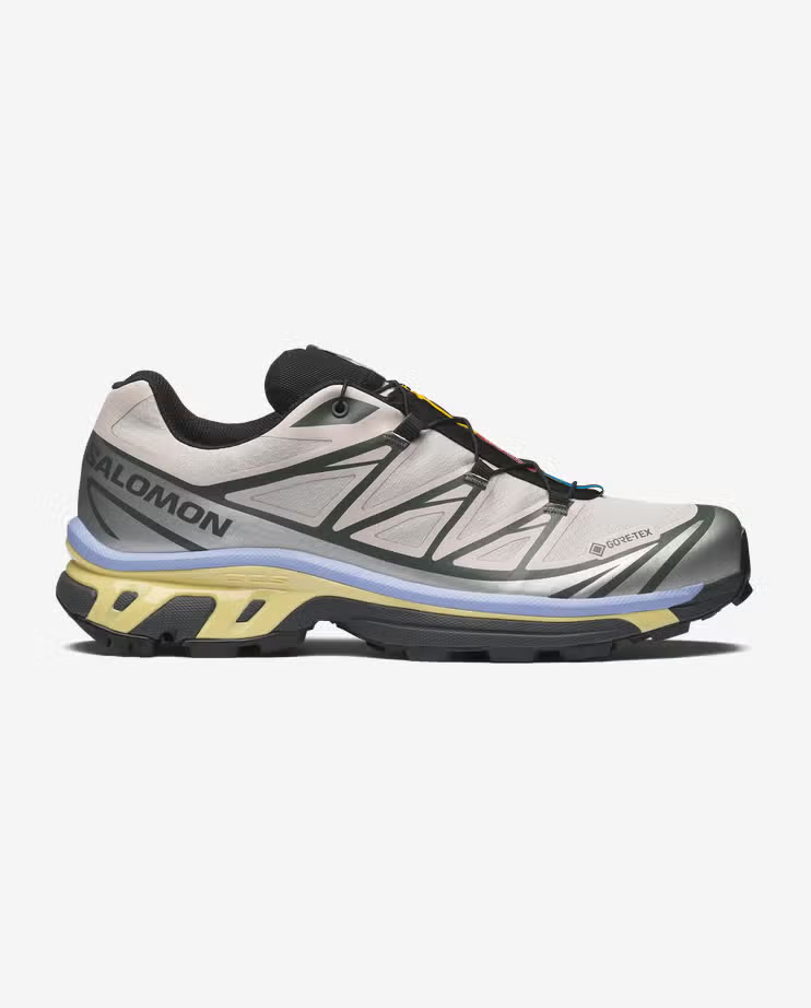 L49216100 Salomon XT-6 GORE-TEX "Silver Cloud/Urban Chic/Shadow Green" (Men's)