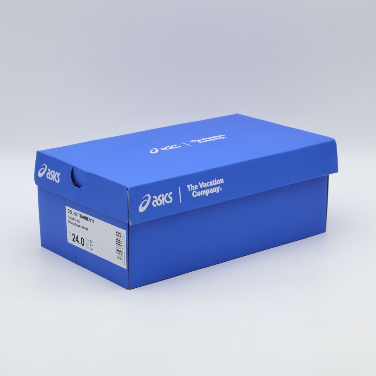 1203A810-101 Temptation Vacation Ã Asics Gel-DS Trainer 14 Cream  (Men's)