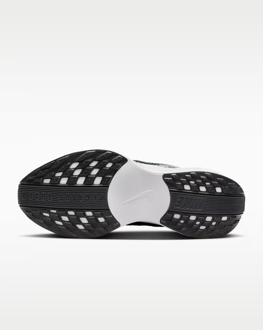 FQ7261-002 Nike Pegasus Plus Black Anthracite White Pure Platinum (Women's)