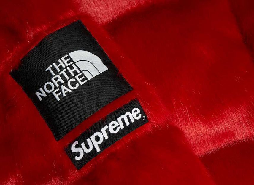 Supreme The North Face Faux Fur Nuptse Jacket Red