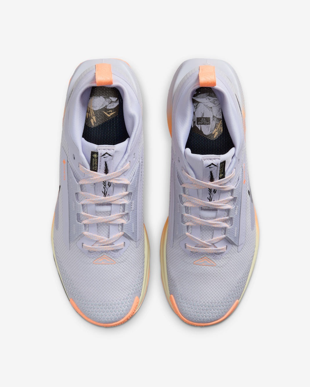 FQ0912-011 Nike Pegasus Trail 5 GORE-TEX Ghost Malt OrangePulse Black ( Women's)