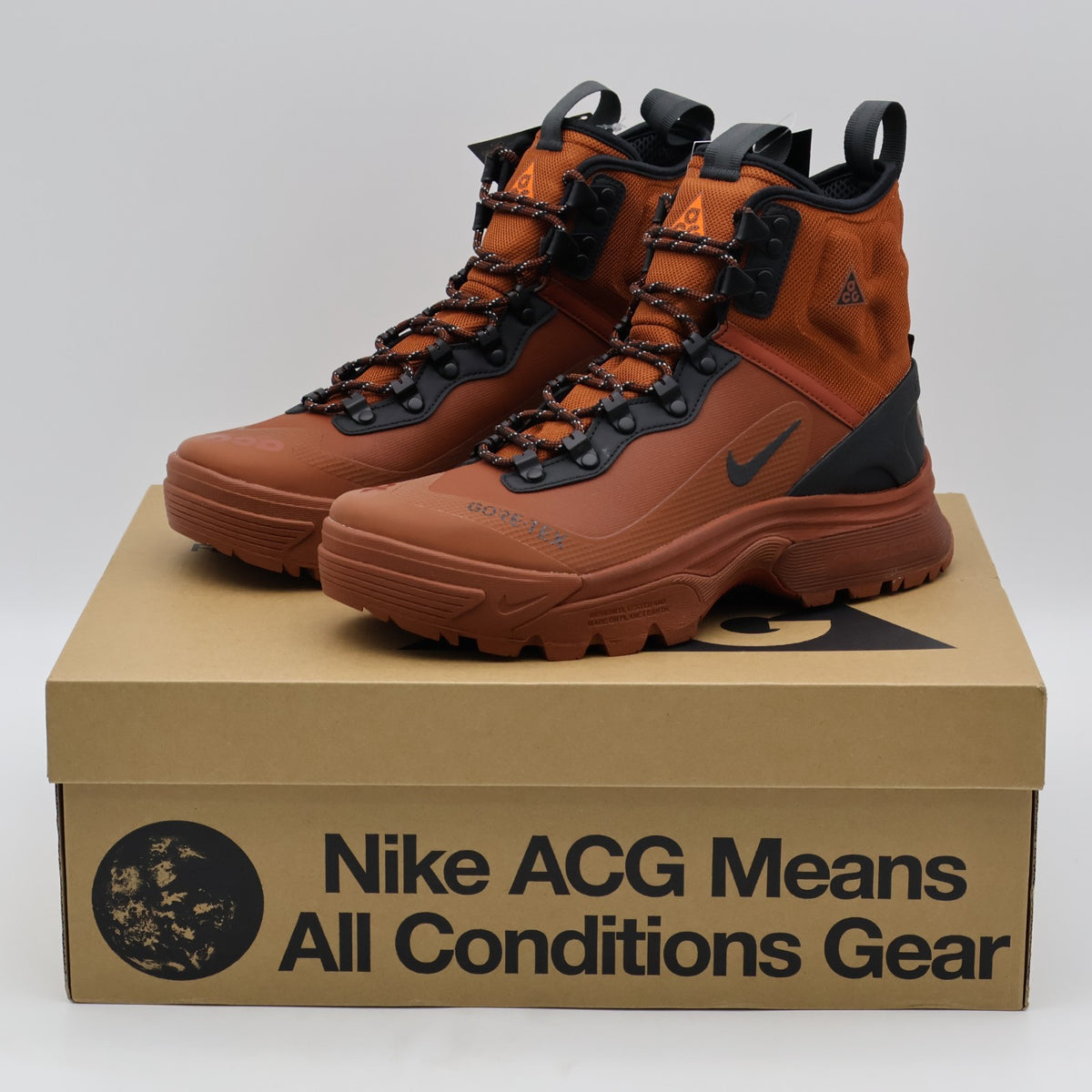 DD2858-203 Nike ACG Air Zoom Gaiadome GORE-TEX Cinnamon Mars Stone (Men's)