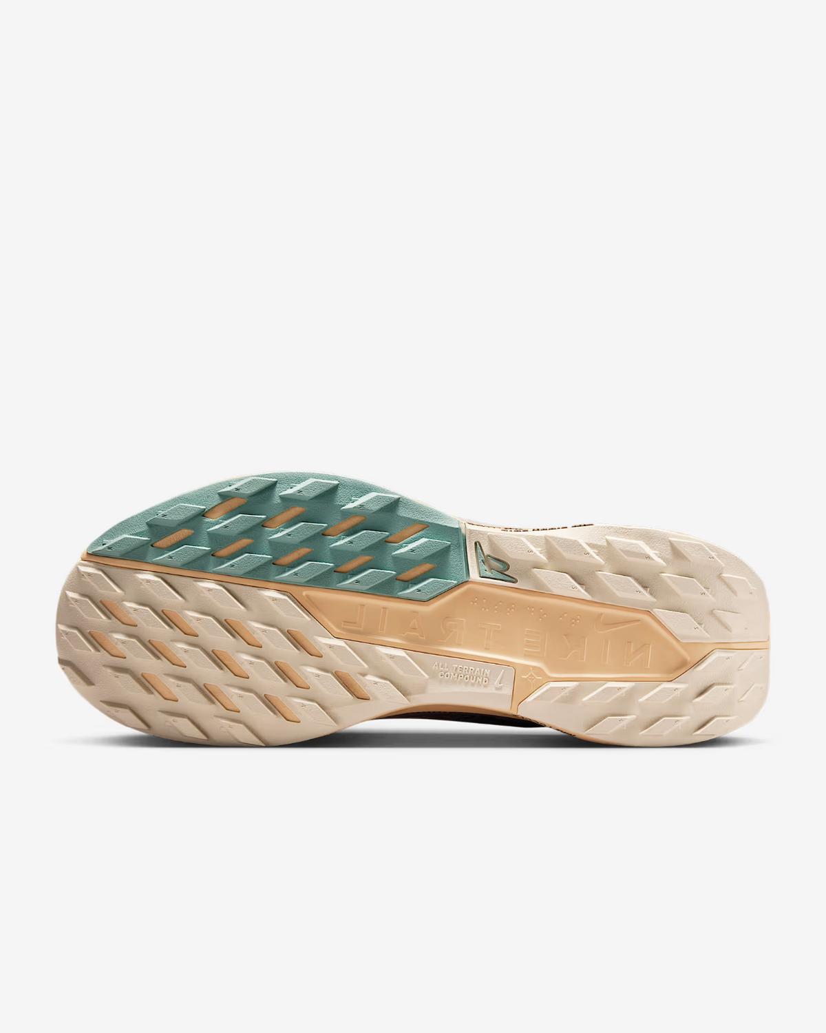 FQ0912-200 Nike Pegasus Trail 5 GORE-TEX Mink Brown Orange Chalk Pearl (Women's)