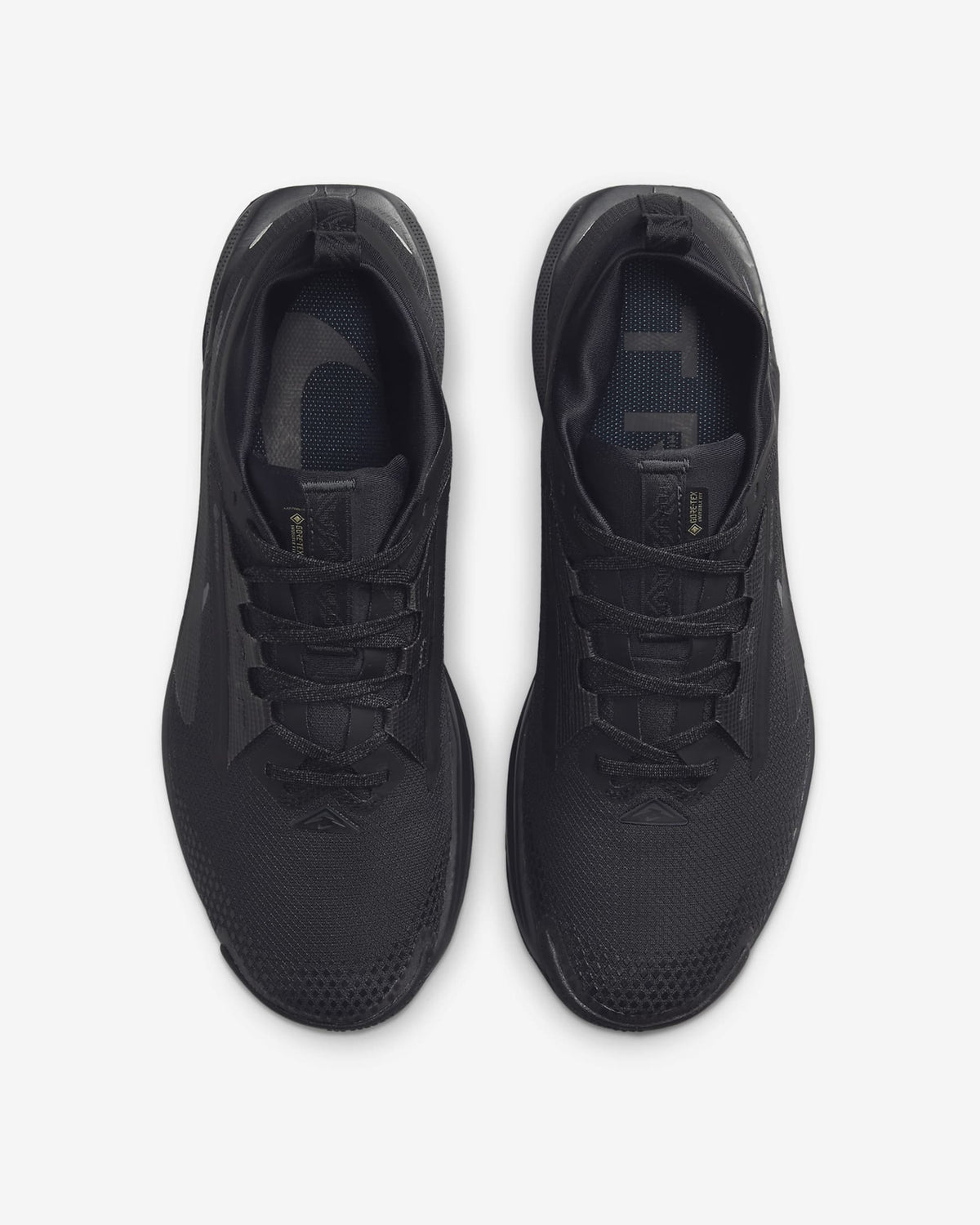 FQ0908-002 Nike Pegasus Trail 5 GORE-TEX Black Anthracite (Men's)