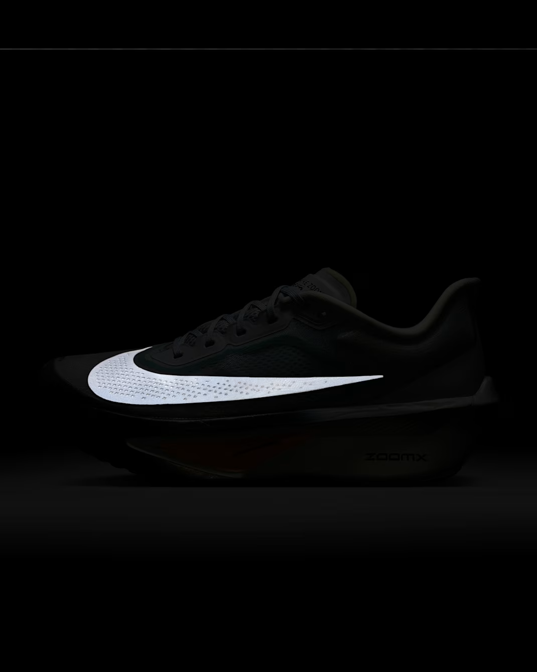FN8454-006 Nike Zoom Fly 6 "Pure Platinum/Grey Fog" (Men's)