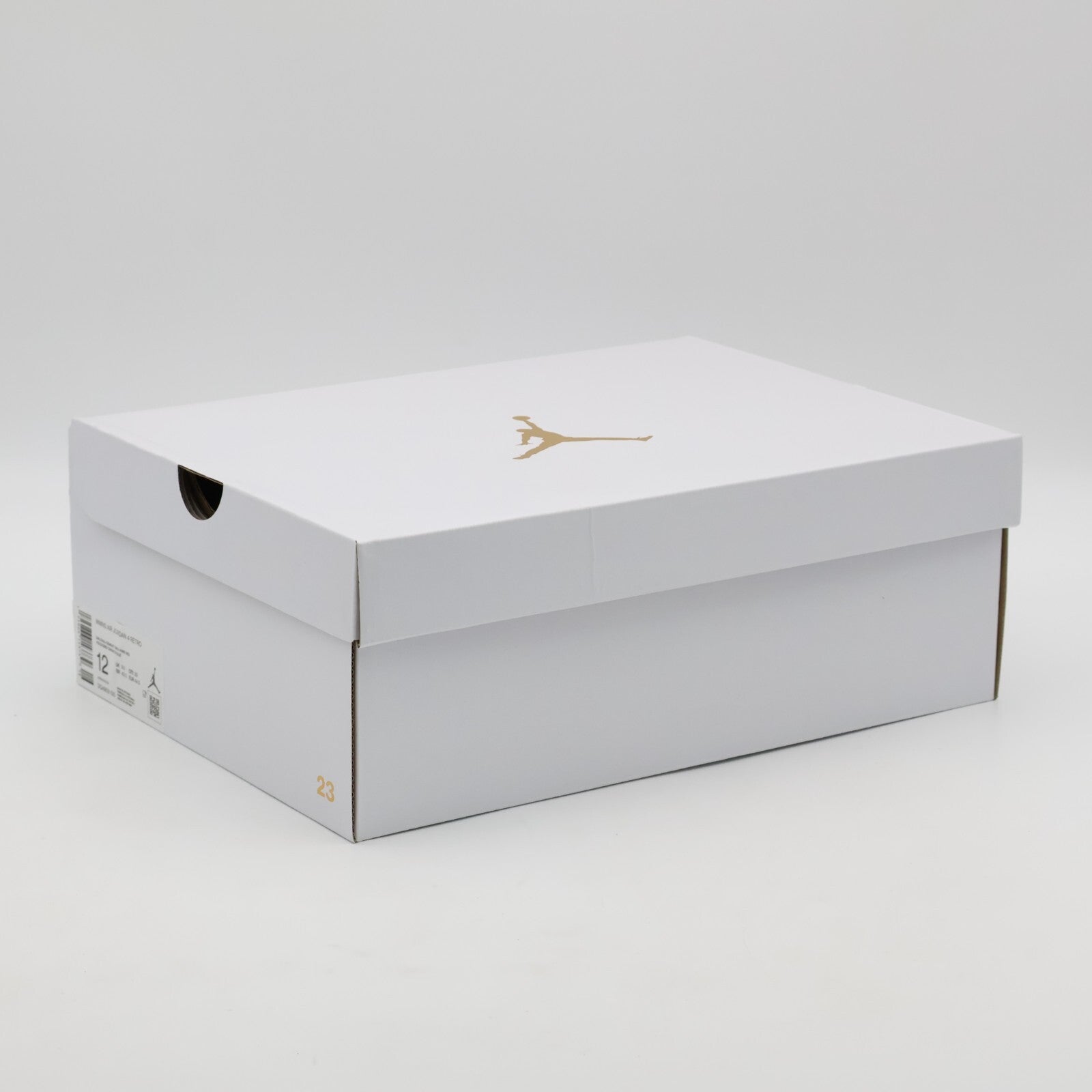 DQ4909-100 Nike Air Jordan 4 Sail Blank Canvas Cement Grey Fire Red (Women's)
