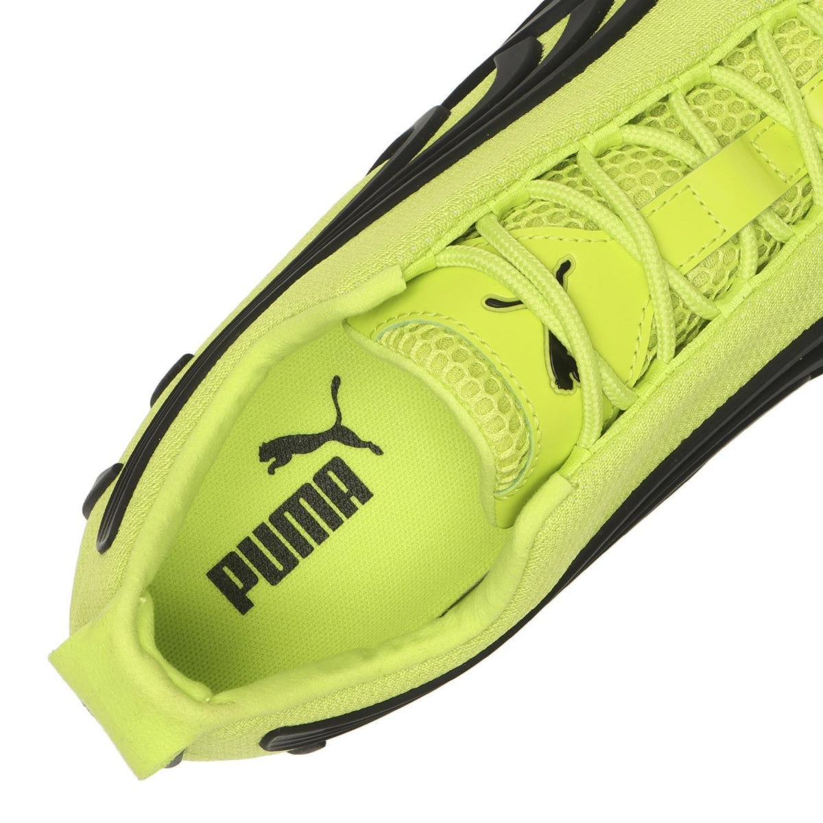 402955-01 Puma Talon OG Lime Pow (Men's)