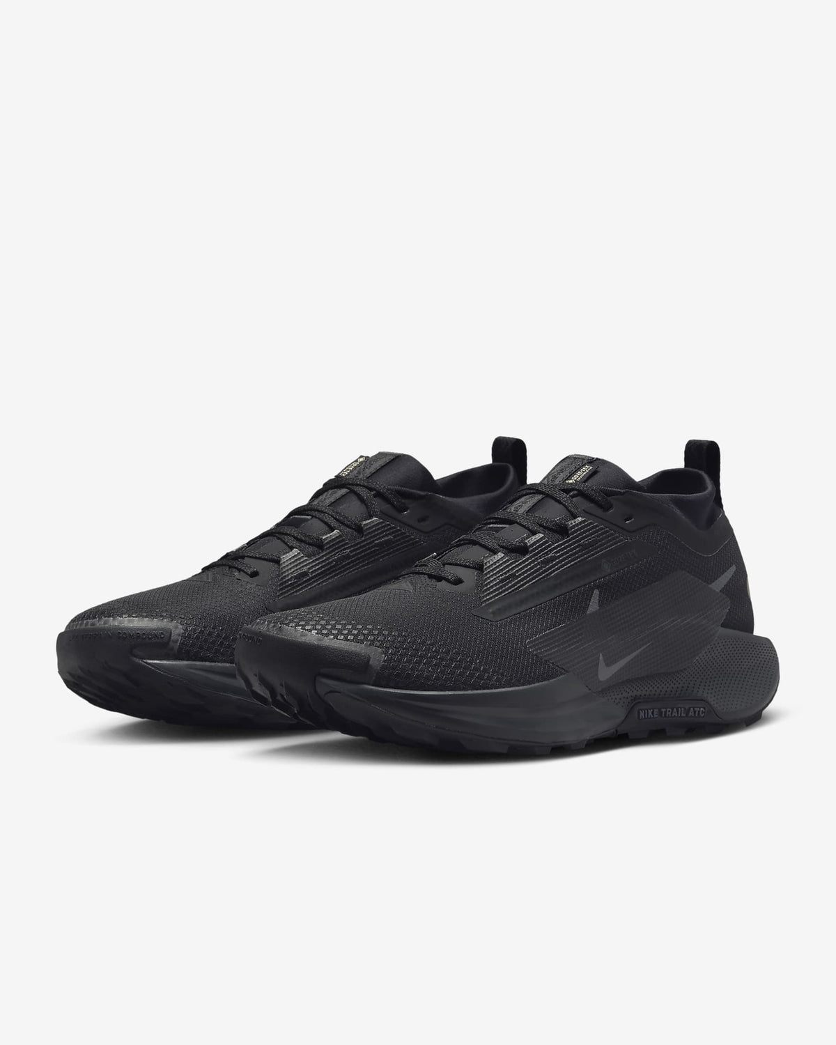 FQ0908-002 Nike Pegasus Trail 5 GORE-TEX Black Anthracite (Men's)