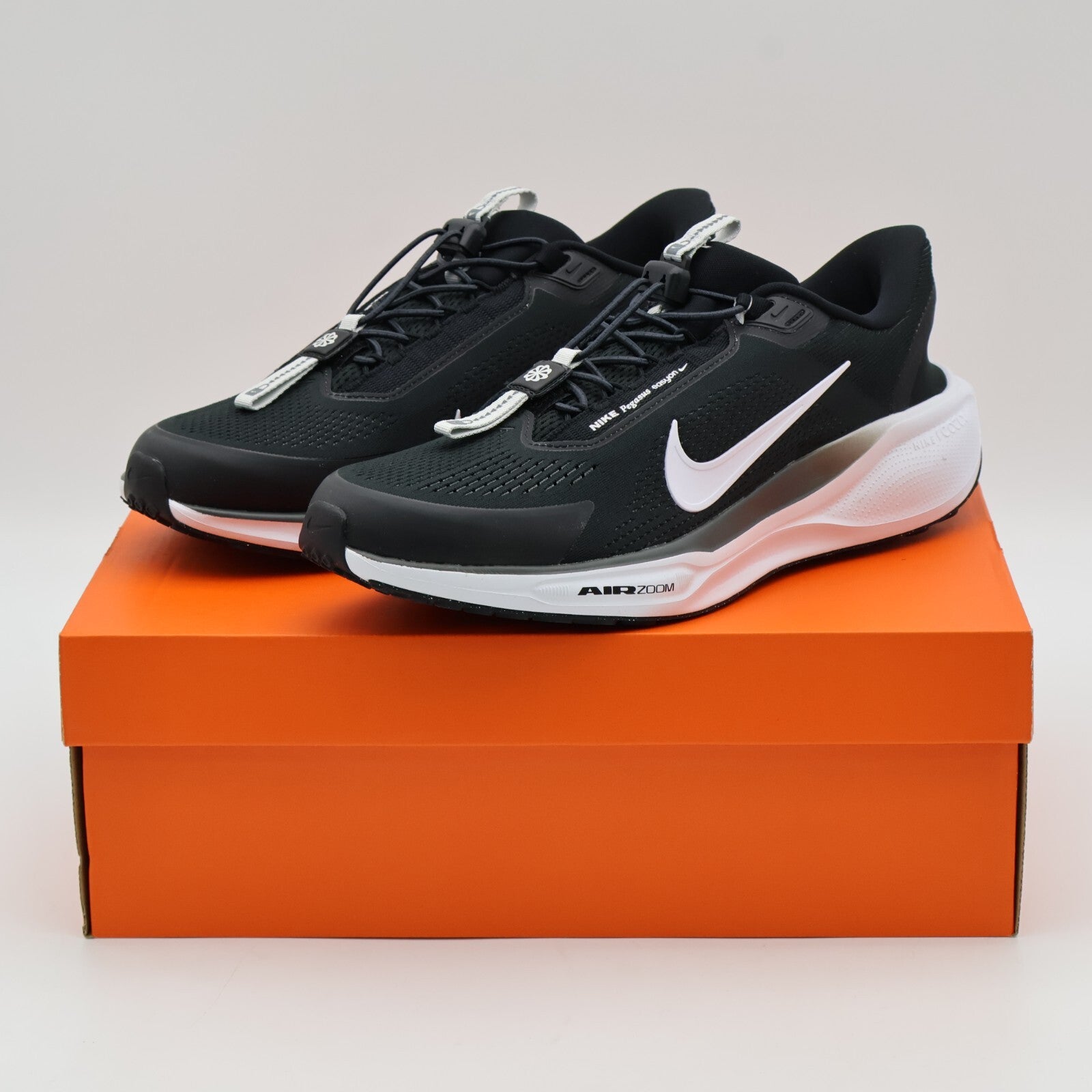 FQ7837-002 Nike Pegasus EasyOn Black Anthracite Photon Dust White (Men's)