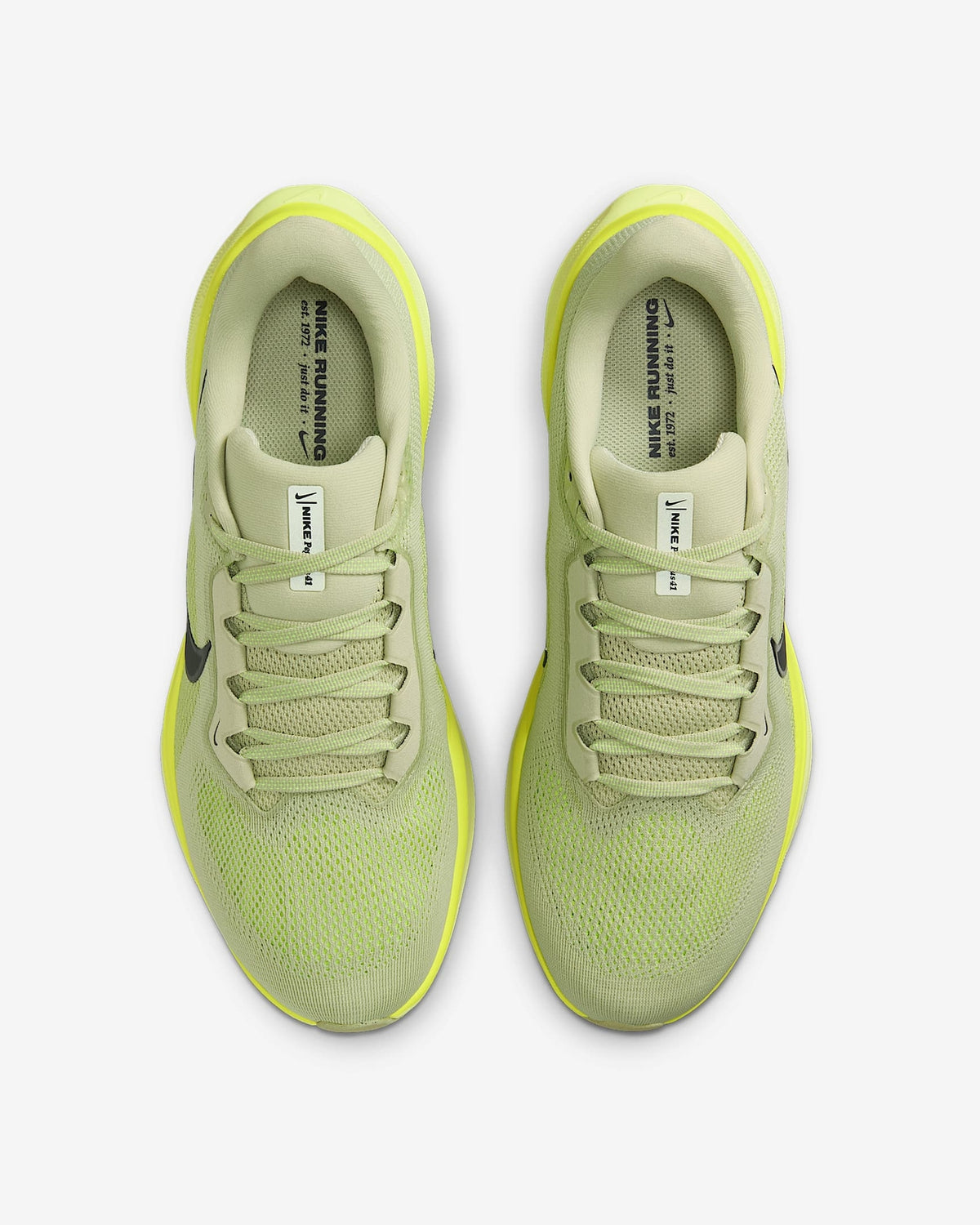 FD2722-303 Nike Pegasus 41 Road Running Shoes (Men's)