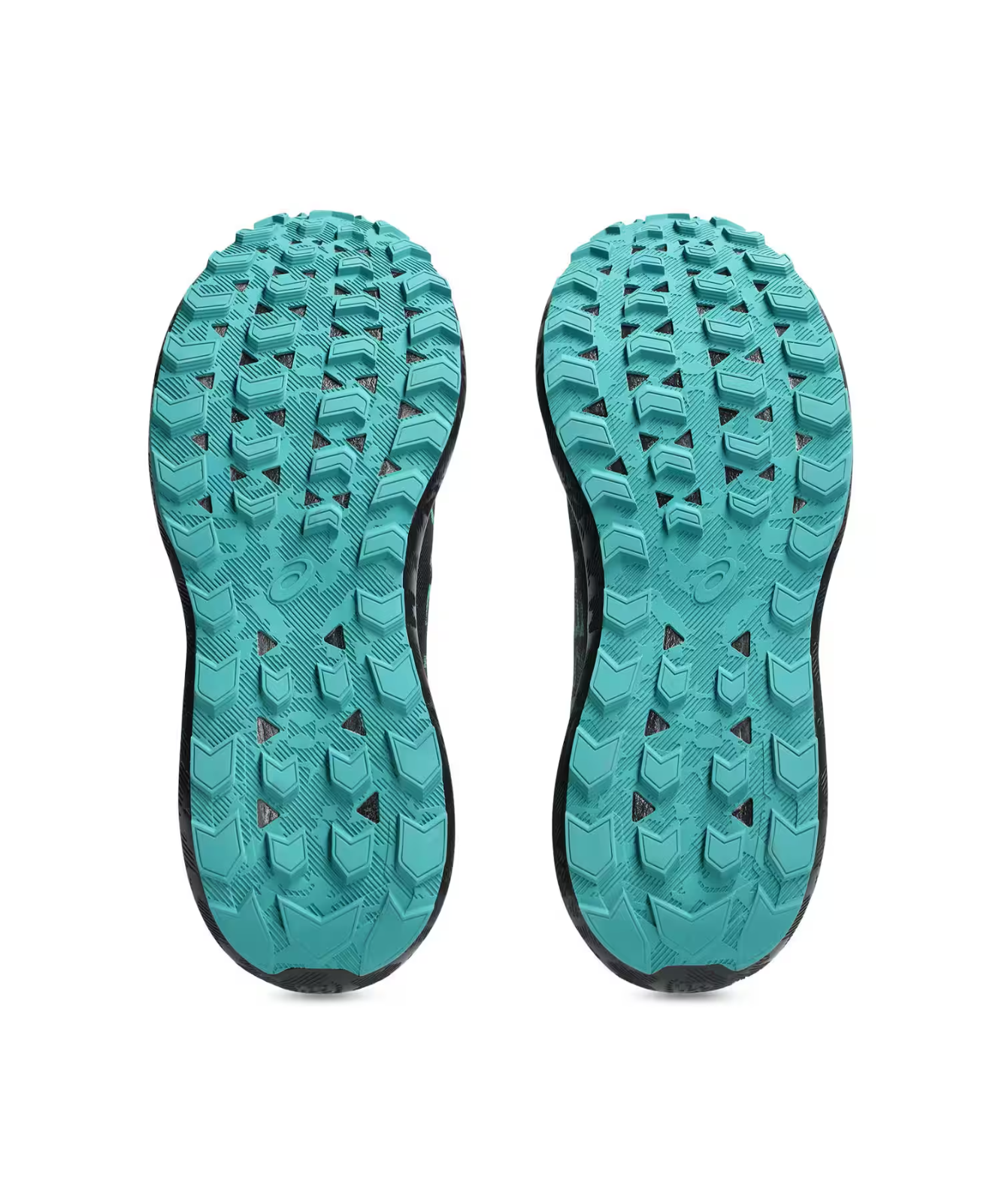 1011b977-001 Asics Gel-Sonoma 8 GORE-TEX Black Rainy Lake (Men's)