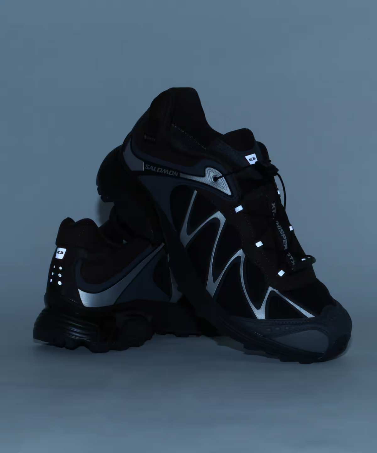 L45397800 Salomon XT-WHISPER GORE-TEX (Men's)