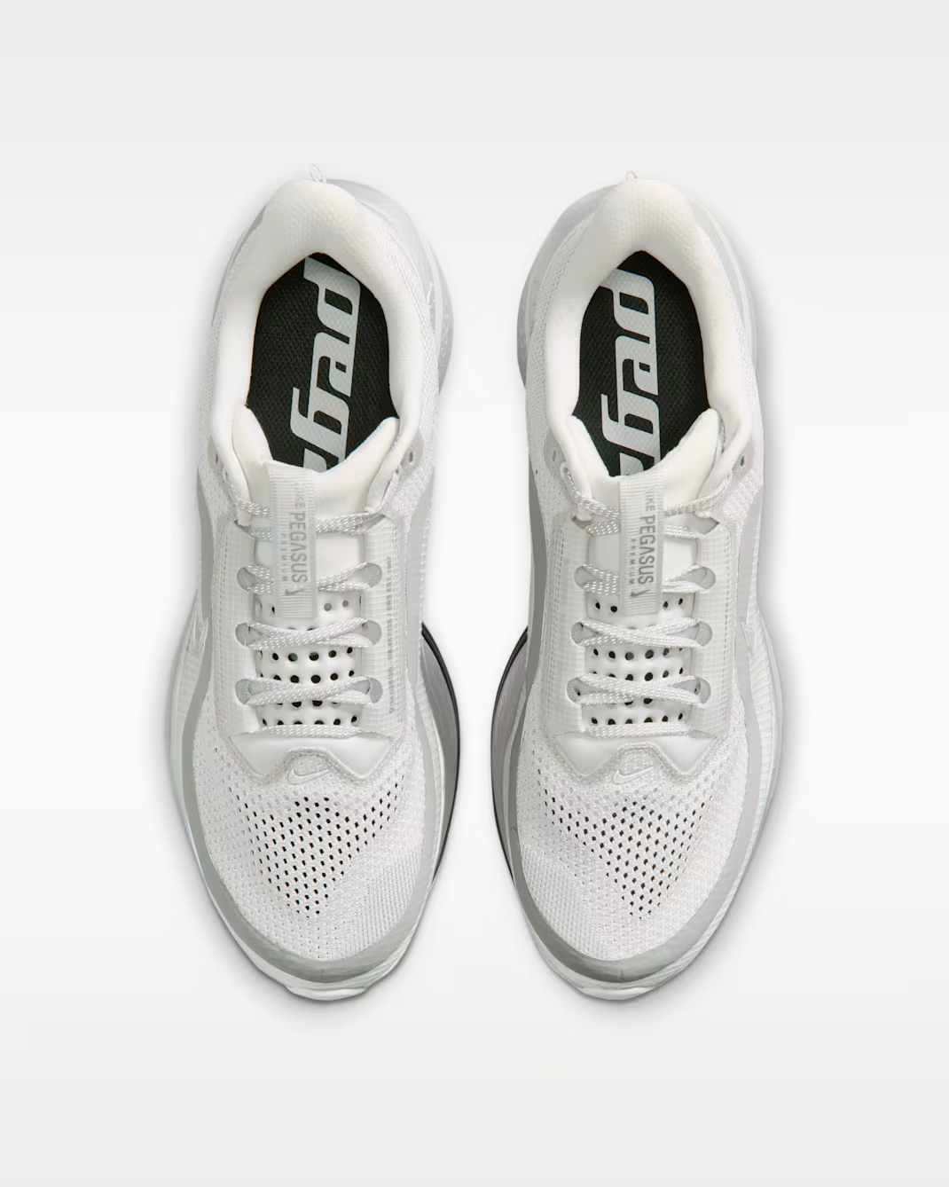IR1229-001 Nike Pegasus Premium Photon Dust Black (Men's)