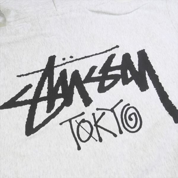 Stussy Tokyo Exclusive Zip Hoodie Ash Grey
