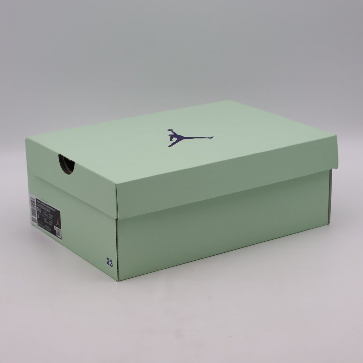 FZ2473-601 Nike  Jordan Heir Series Be Seen (Women's)
