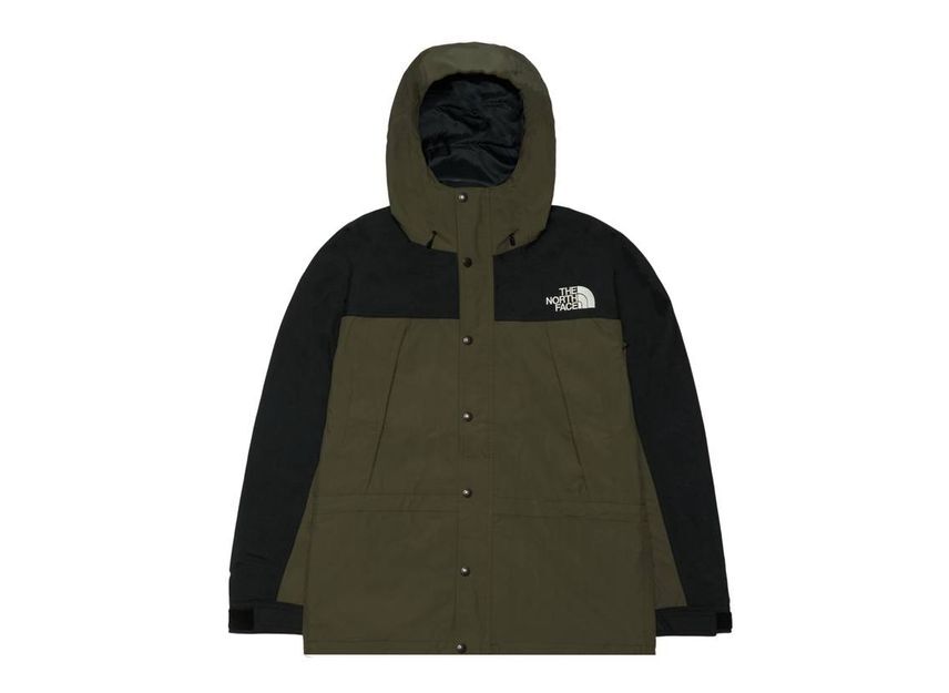 The North Face Mountain Light Jacket Neutopes(NT)
