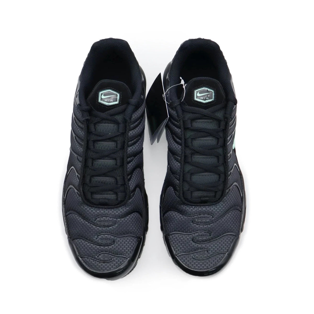 DM0032-029 Nike Air Max Plus Black Mint (Men's)