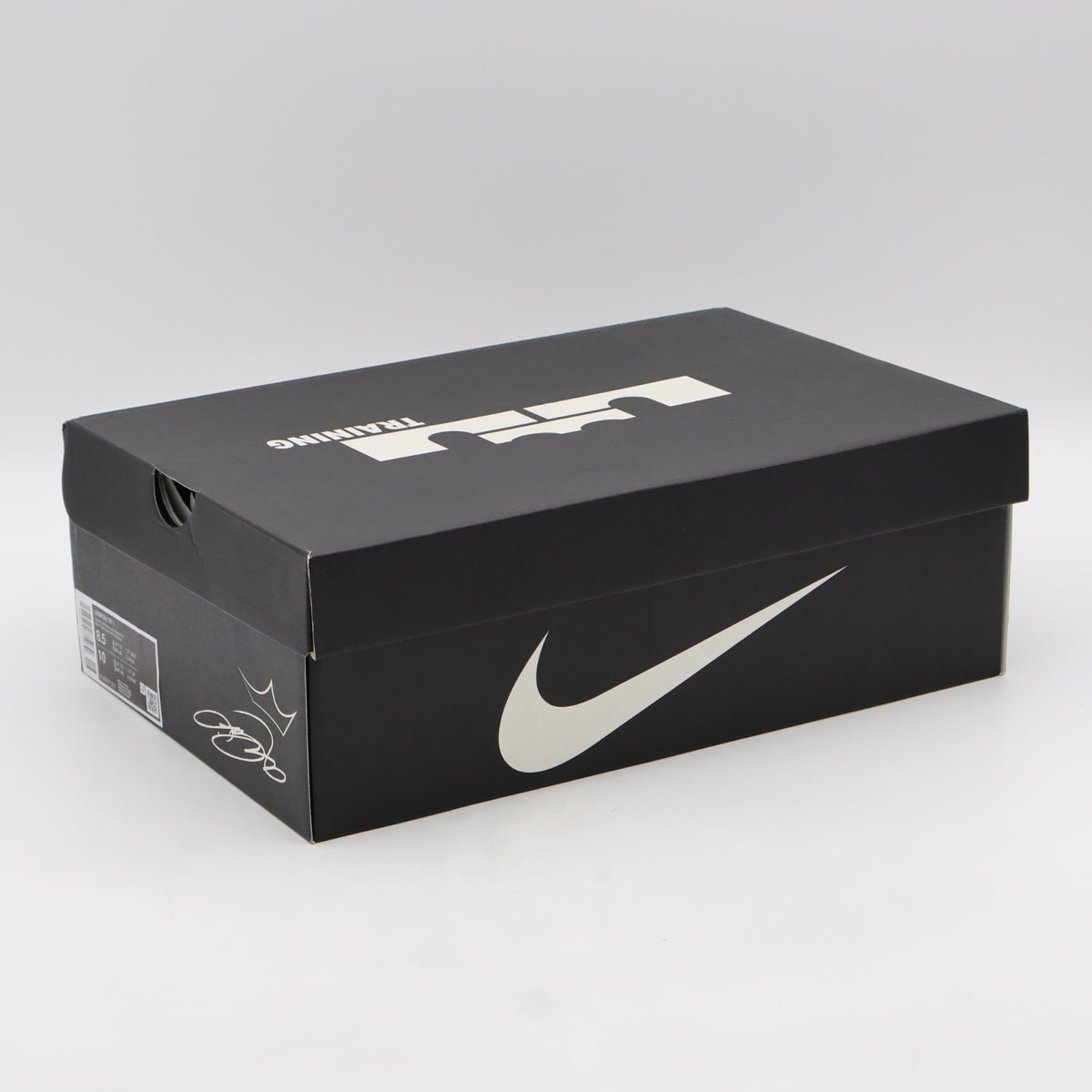 FJ6151-201 Nike LeBron TR1 Velvet Brown Phantom Black (Men's)