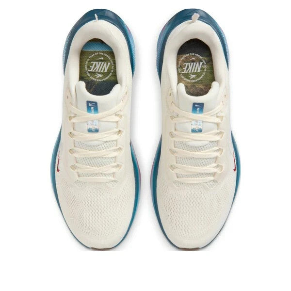 IQ1153-109 Nike Pegasus 41 Sail Multi Color (Women's)