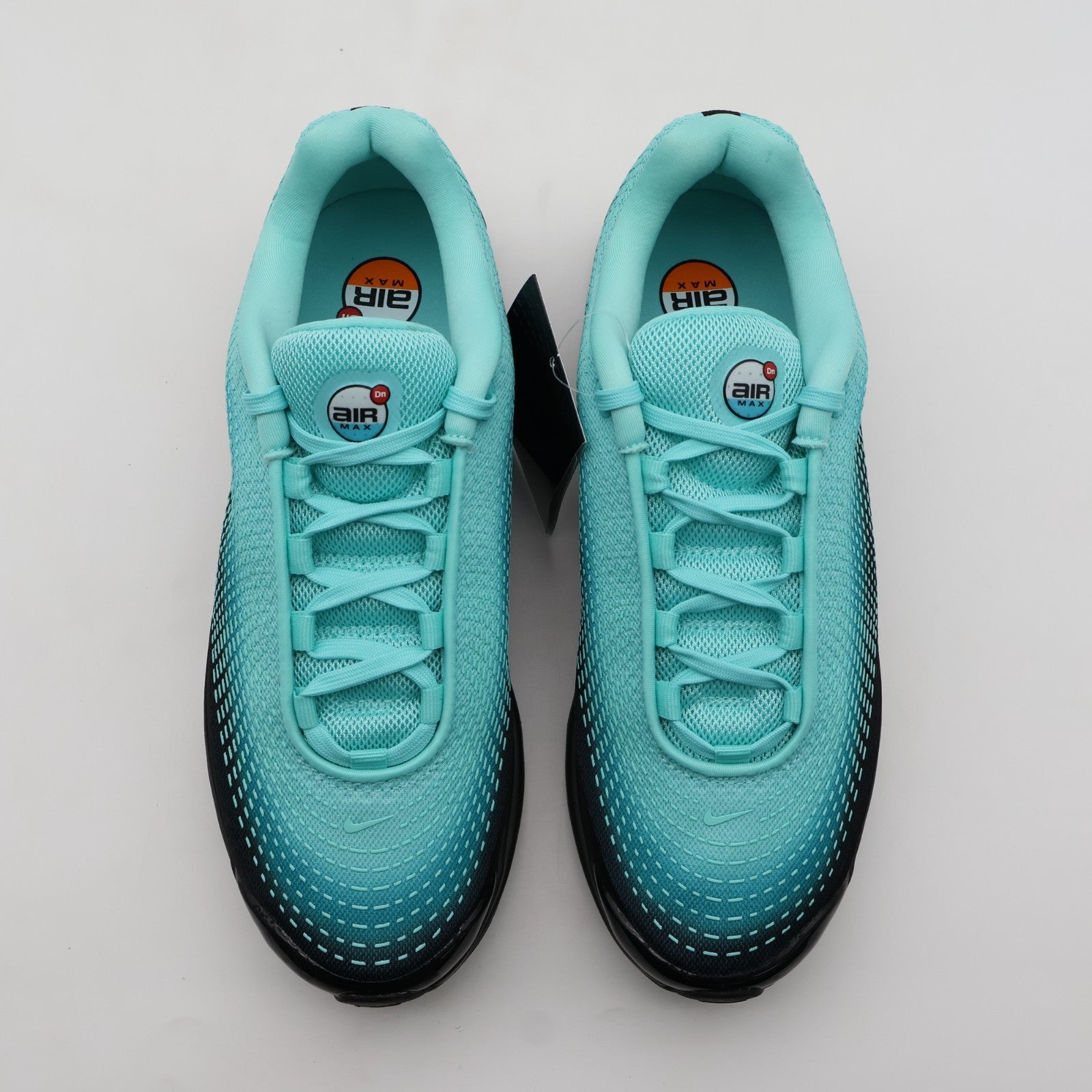 HQ0013-300 Nike Air Max DN Premium Dusty Cactus Light Aqua Dynamic (Women's)