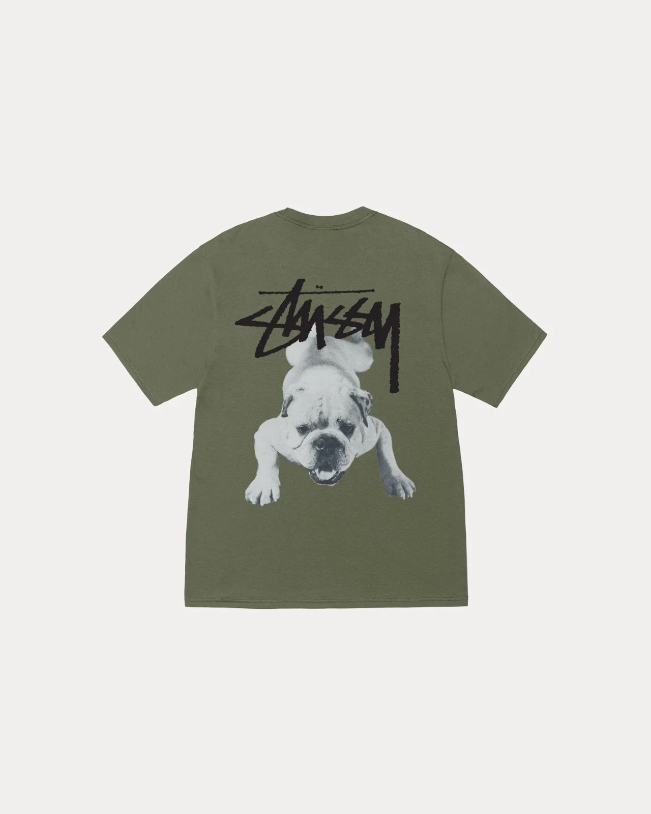 Stussy Stock Dog Tee Olive