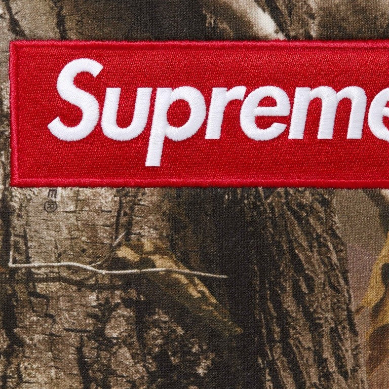 Supreme Box Logo Hooded Sweatshirt (25FW) Realtree AP Camo