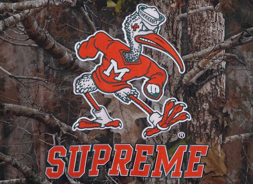 Supreme Mitchell & Ness NCAA Hooded Stadium Jacket Leaves