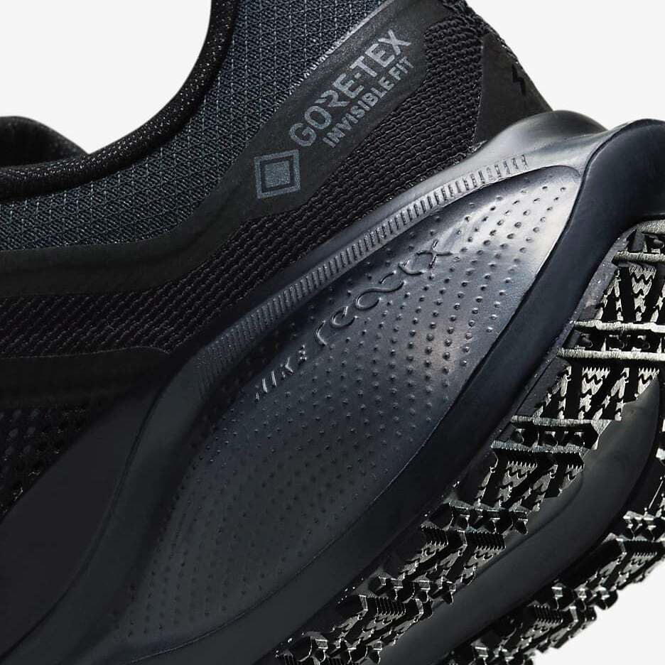 FQ1357-001 Nike Pegasus 41 GORE-TEX Black Anthracite (Women's)