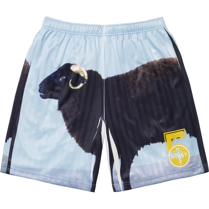 Supreme Damien Hirst Soccer Short Black