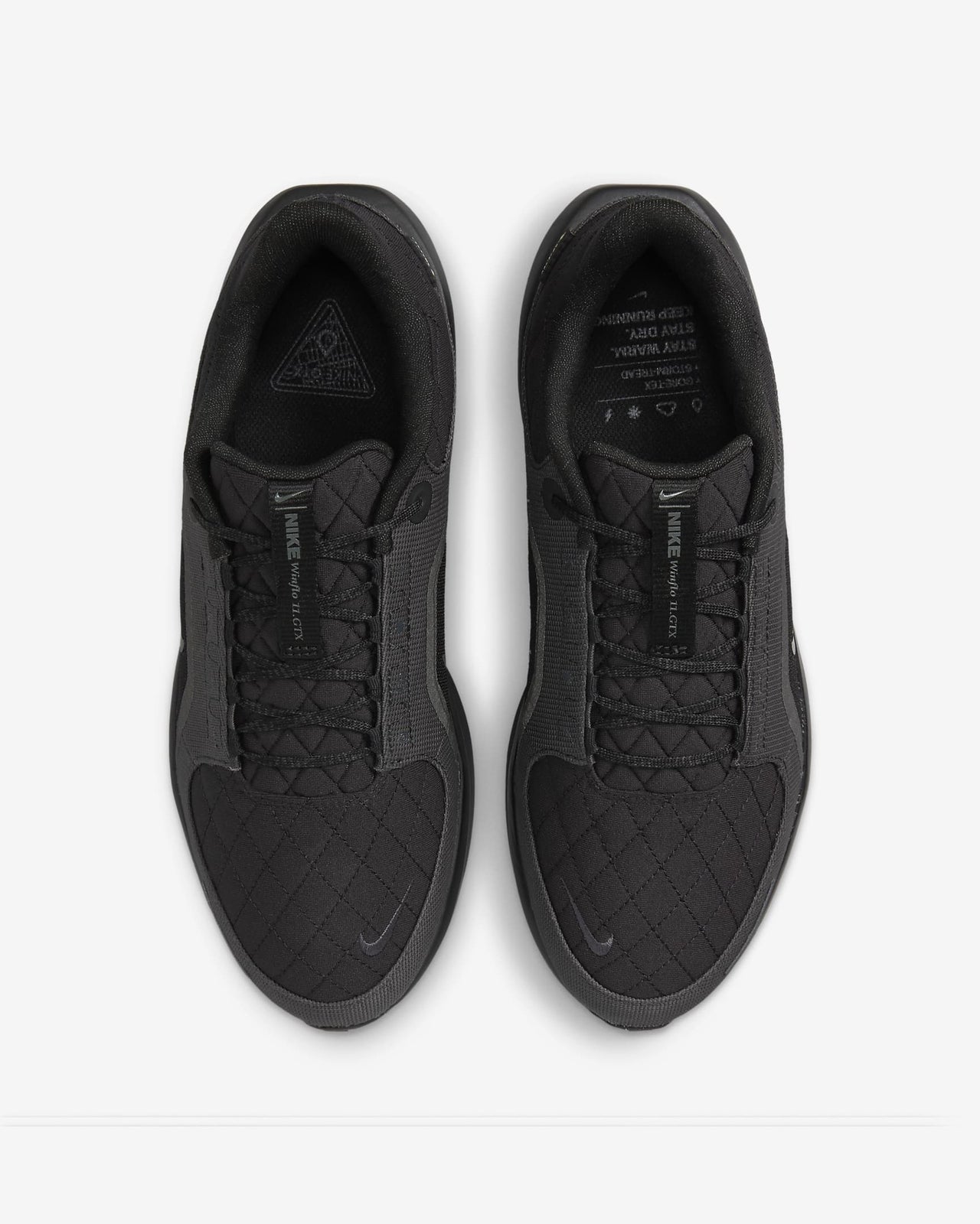 FQ1358-001 Nike Winflo 11 GORE-TEX Black Anthracite (Men's)