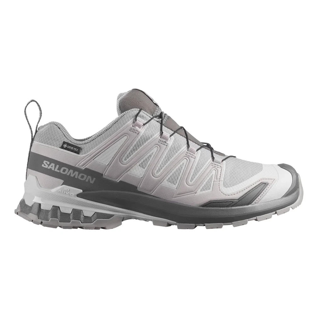 L49199100 Salomon XA Pro 3D V9 GORE-TEX "Alloy/Castlerock" (Men's)