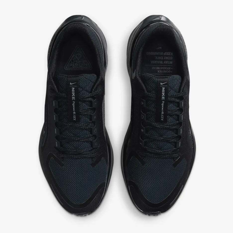FQ1357-001 Nike Pegasus 41 GORE-TEX Black Anthracite (Women's)