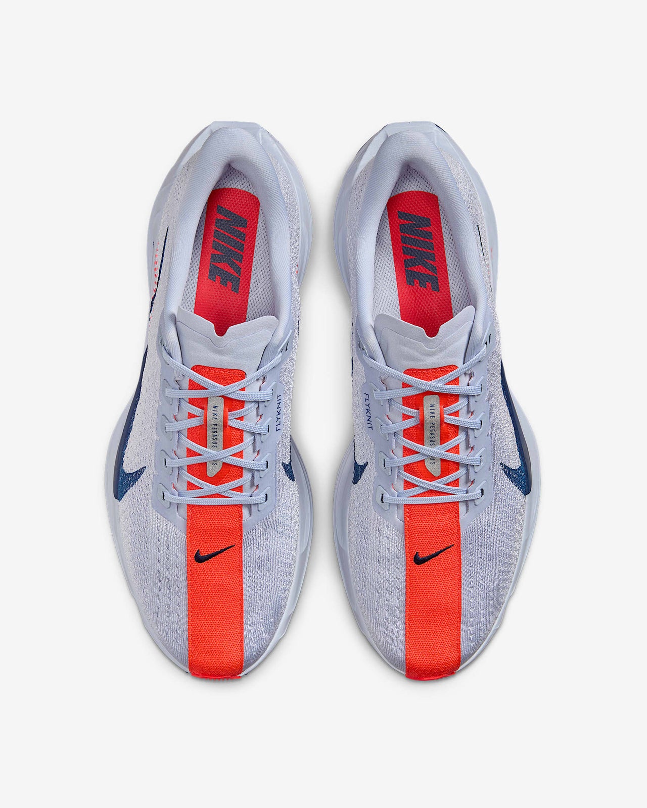 FQ7262-006 Nike Pegasus Plus Ghost Blue Void Bright Crimson Blue Void (Men's)