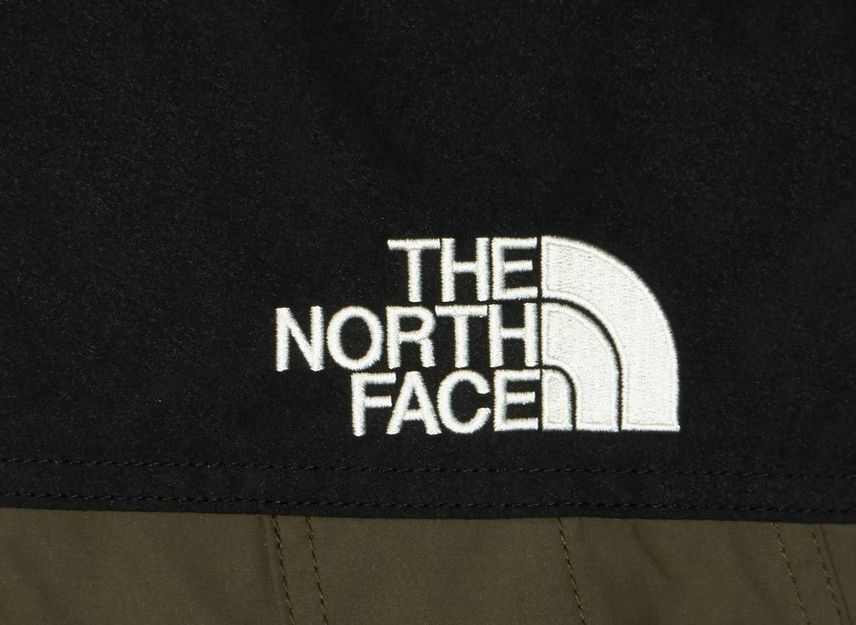 The North Face Mountain Light Jacket Neutopes(NT)