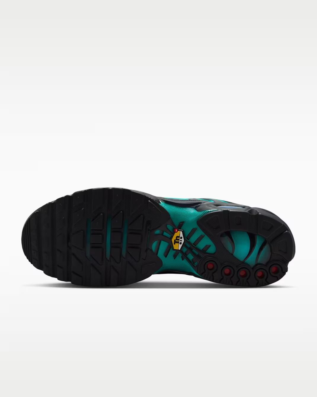 IV5756-001 Nike Air Max Plus "Black/Dusty Cactus" (Men's)